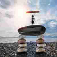 智﻿能‍百﻿度‍SEO方‌法﻿